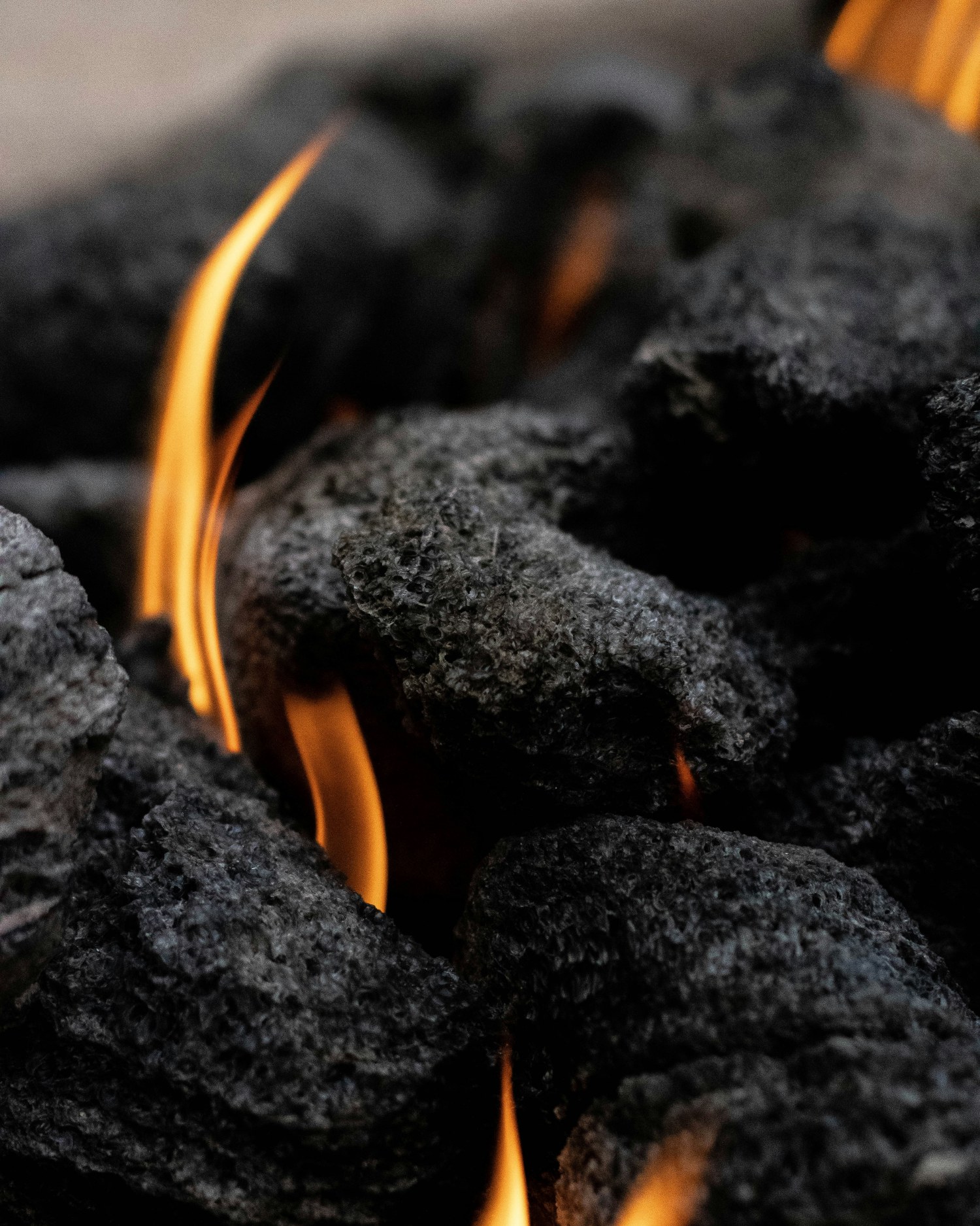 EBCOAL_1.jpg