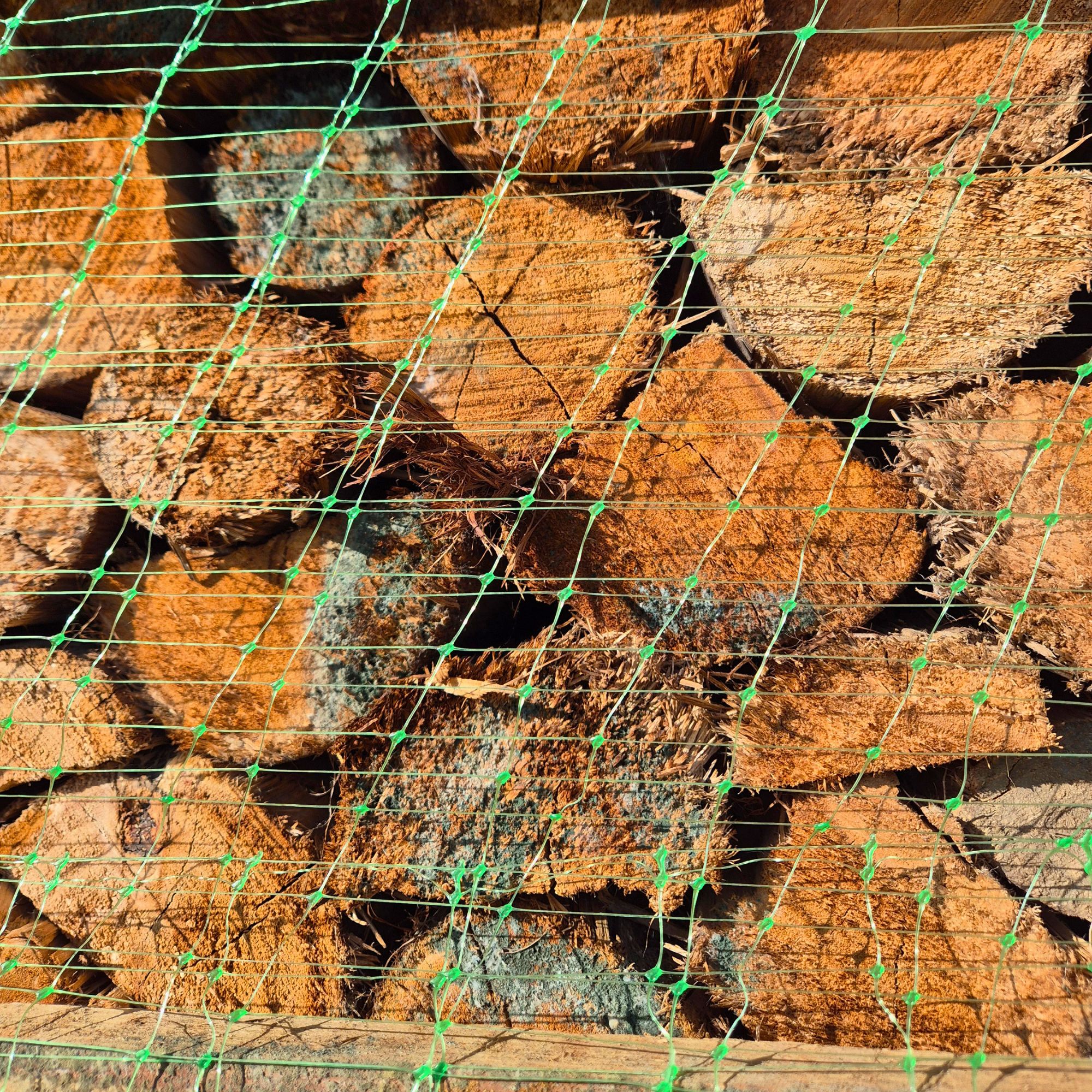 KDPREMHW-B_mould3.jpg