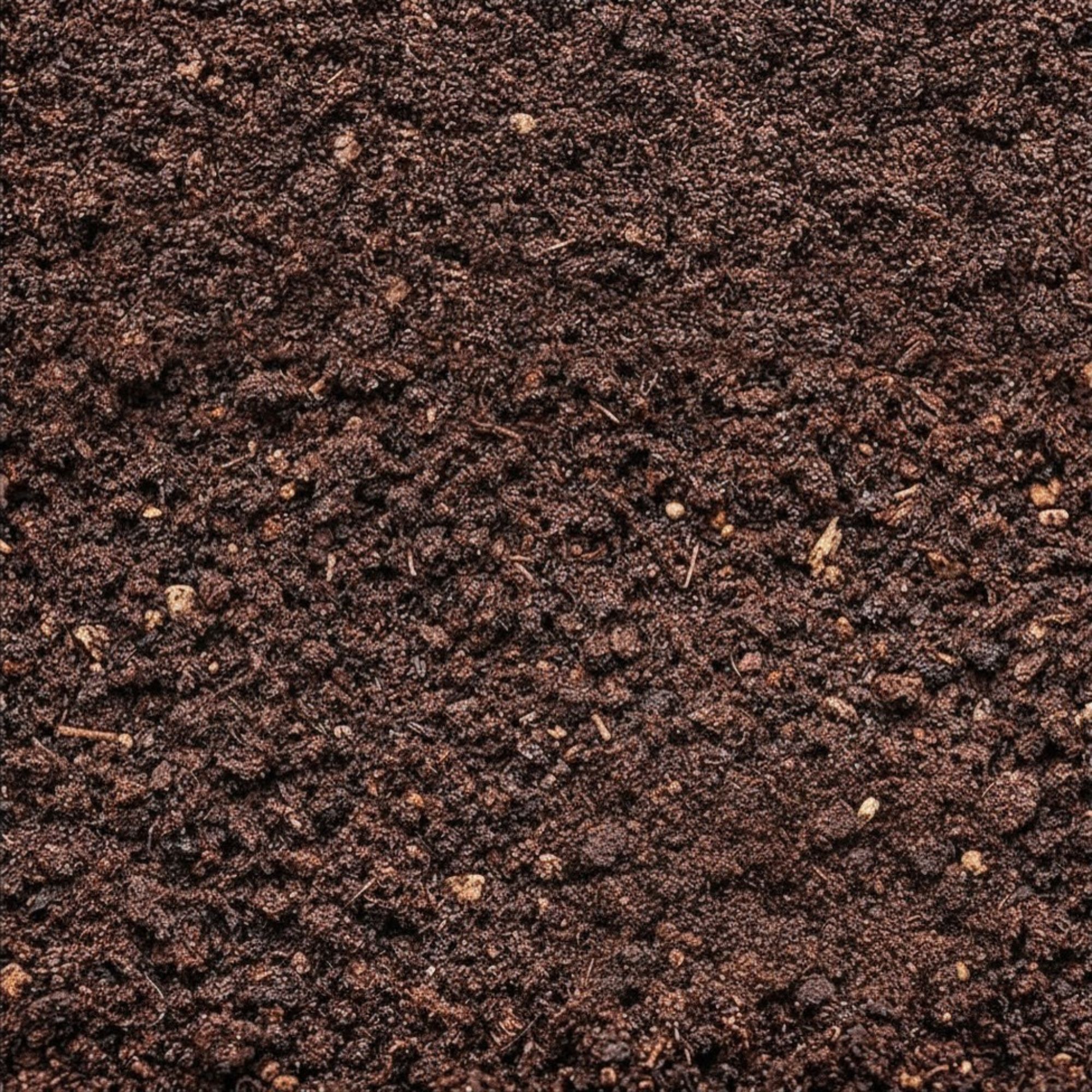 TGEC-Close-up.jpg